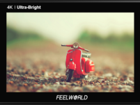 Feelworld - LUT7S 7" monitor (with SDI)